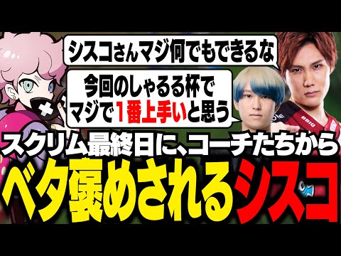 【しゃるる杯】スクリム最終日にコーチたちからベタ褒めされ、メインロールをサポートに転向しようか悩むシスコ【LoL/ふらんしすこ/切り抜き】