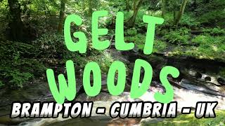 Gelt Woods | Drone View | Brampton | Cumbria | Best Places in UK | 2023 | 4K