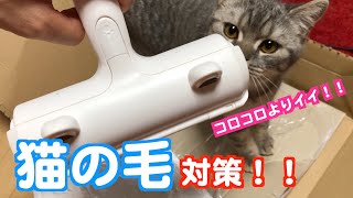 猫の毛対策！！コロコロよりも便利な猫の毛対策グッズ！これで掃除も楽チンです！