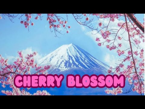 CHERRY BLOSSON🌺🌺🌺#cherry #blossomgarden #cherry #cherryvlogs #blossom #cherrys #blossoms #chillvibes