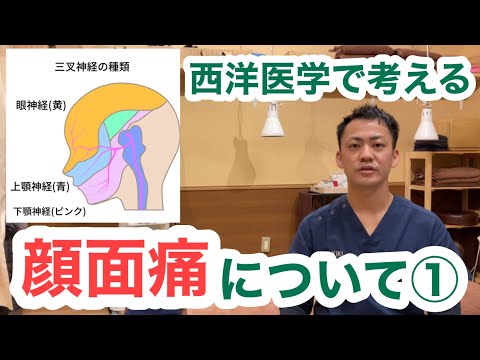 西洋医学で考える〜顔面痛について①〜動画の途中でバグが発覚しましたので、修正した動画を概要欄にURLを貼っておきました。