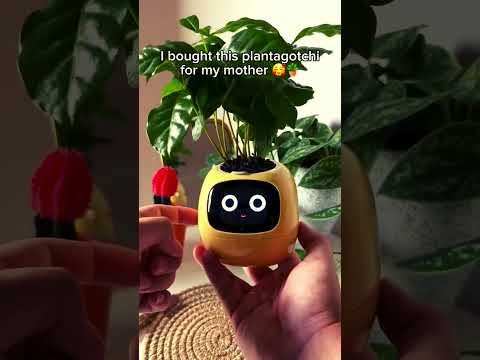 7 smart sensors,AI Chips Make Raising Plants Easy and Fun #shorts