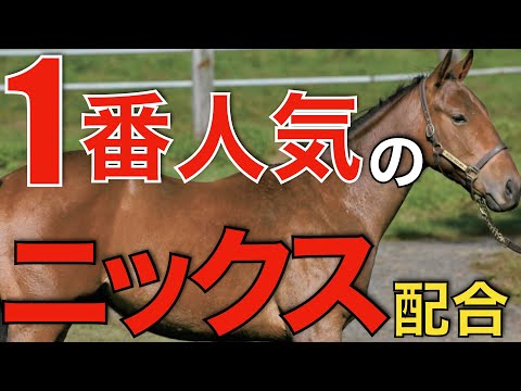 日本競馬界で最も評価されるニックスとは？驚異的な割合で生産される。