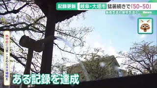 猛烈な暑さとなった東海地方　岐阜・大垣市では「50-50」の記録が誕生 (24/09/20 14:54)