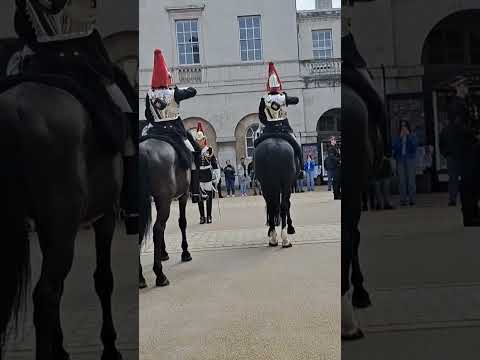 King's guards horses #king #guards #horse #london #india #ytshots @vichethediamonds#