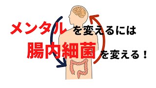 メンタルを変えるには腸内細菌を変える！-脳腸相関とは？-