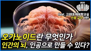 인간의 뇌를 만들어내다! 뇌 오가노이드 과연 가능할까?! 뇌 오가노이드 1부 (고려대학교 선웅 교수)