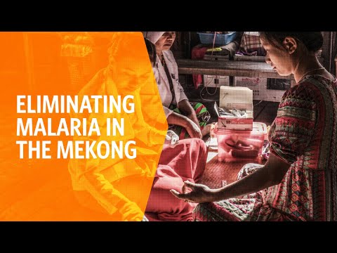 Eliminating Malaria in the Mekong