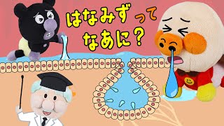 赤ちゃんアンパンマンのはなみず探検！バイキンマンと鼻の中へGO！【知育アニメ】 | 絵本 読み聞かせ アンパンマンアニメ 面包超人