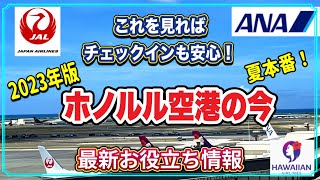 【最新情報・ホノルル空港 】２０２３年夏本番！今のホノルル空港情報はこれを見ればすぐわかる！エンディング映像は空港を一望出来る穴場な場所からお届け🛫#ハワイ#最新情報#海外生活＃高画質（英語字幕付)