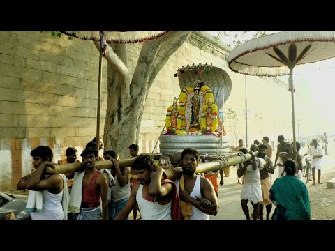 Kanchi Yathokthakari Perumal-Thirumazhisai Aazhwar Thirunakshtram   Morning Orikai Purappadu_32m 23s