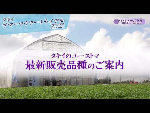 【園芸】タキイ「ユーストマ」2022-2023年 最新販売品種のご紹介