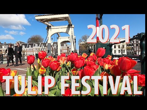 Tulip Festival Amsterdam 2021