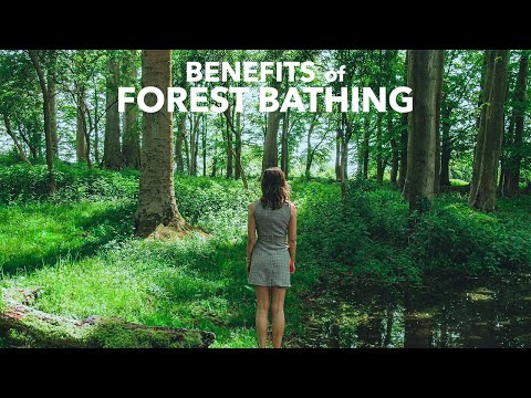 Is FOREST BATHING The Cure To Burnout You Need In 2025? (Shinrin-Yoku)