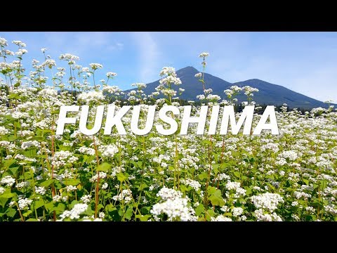 Fukushima ~Gourmet~