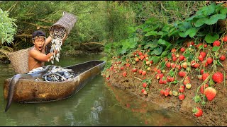 Survival in the forest - fishing in the river found strawberries, Eat delicious strawberries