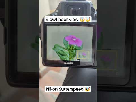 nikon viewfinder 🤯❤️ | nikon focus speed | nikon sutter speed | #nikon #canon #dslrcamera #youtube