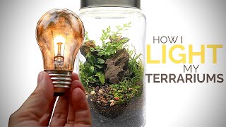 How I light my terrariums (Terrarium lighting solutions)