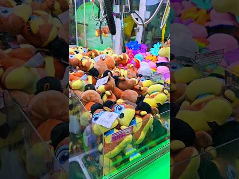 Winning FNAF Plush From A Claw Machine! 😱 #fnaf #fivenightsatfreddys #fnafmemes