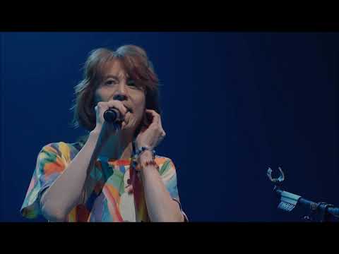 角松敏生　Summer Babe（35th Anniversary Live）