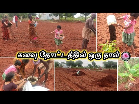 One day field work with my family👨‍👩‍👧‍👦 எங்கள் கனவு தோட்டம்🌱garden vlog🤩Organic farming🌾