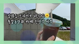 강화도 드라이브 VLOG🌼ㅣ주말농장 하고 '진정성 서점' 카페 다녀온 주말🌿