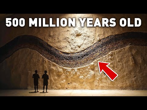 Scientists Baffled by 500-Million-Year-Old Mark Left by Enormous Prehistoric Creature