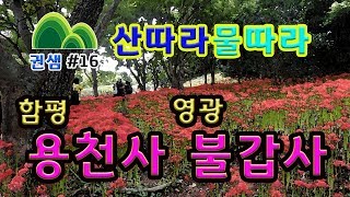 전남[함평용천사 영광불갑사]