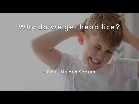 Why do we get head lice?