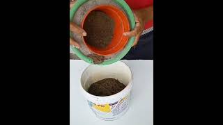 making cement pot | #dkcrafting775