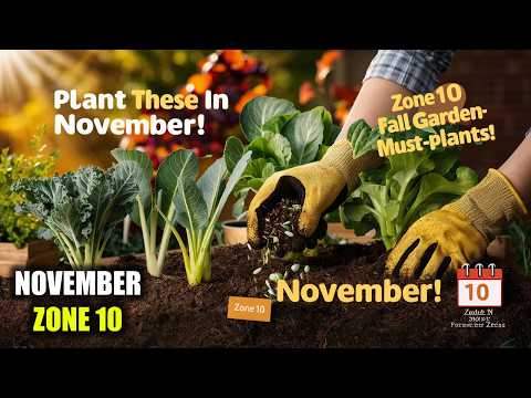 What to Plant in November for a Thriving Garden in Zone 10: Ultimate Fall Gardening Guide