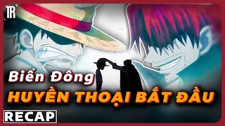 Tiện đi ship mũ, tôi trở thành New King for the Throne | Recap xàm: One Piece East Blue Saga phần 1