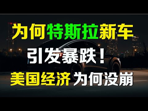 美股 TSLA特斯拉新款车引发暴跌，是否是抄底机会？美国经济为何没崩？