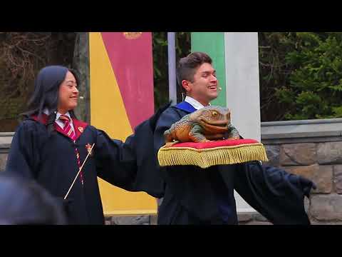 Universal Studios Japan「Frog Choir」(2025/03/08/13:30)