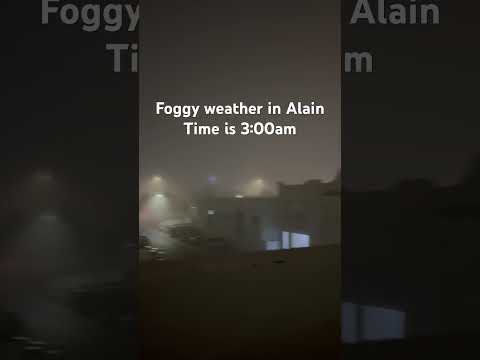 #foggy #foggyweather #alaincity #alain #time 3:00 am @Asiancuisinefood #music #remix #art