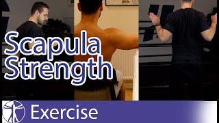 Scapula Strengthening Exercises | Early Shoulder Rehab