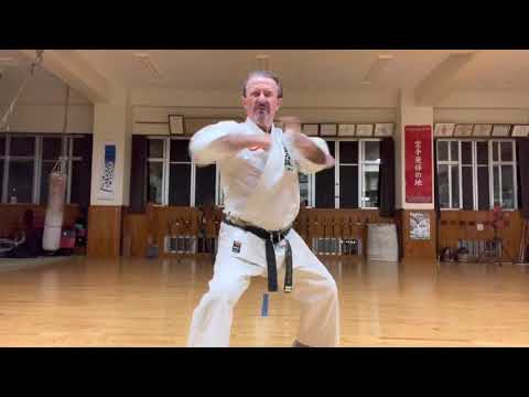 Uechiryu Kata Seiryu segment explained #karate #okinawa #空手 #沖縄 #上地流 #uechiryu