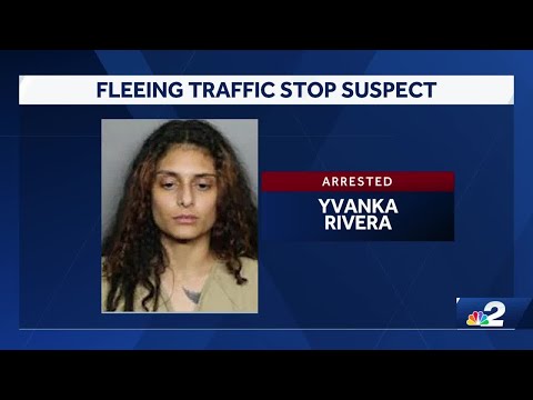 South Fort Myers woman accused of fleeing 2 traffic stops in multi-county pursuit