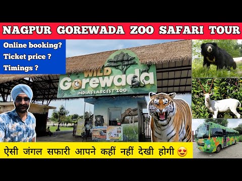 Gorewada zoo nagpur zoo - gorewada zoo nagpur entry fees | Nagpur zoo gorewada jungle safari nagpur