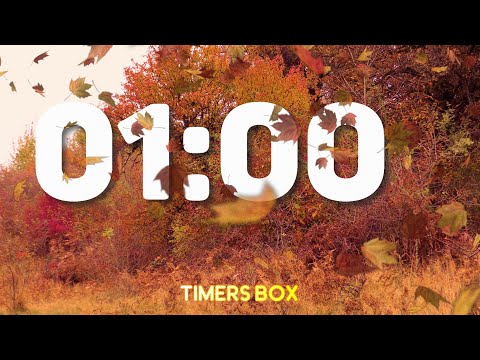 🍂 Silent 1 Minute Autumn Fall Study Timer ⏰📚 Perfect for School 🏫 Teachers 👩‍🏫 and Kids 🧒