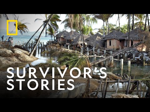 The Stories from the 2004 Boxing Day Tsunami | Tsunami: Race Against Time | National Geographic UK