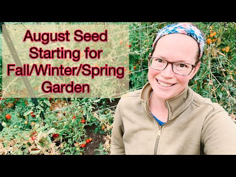 August Seed Starting for Fall/Winter/Spring Garden | PNW Zone 8b