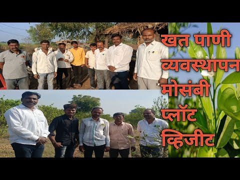 मोसंबी प्लॉट व्हिजीट#मोसंबी खत पाणी व्यवस्थापन#कृषीगाथा #agriculture