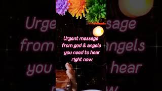 ✨Urgent message from angels ✨| Quick #yesorno #angelmessageformetoday  #tarot #accurate #timeless