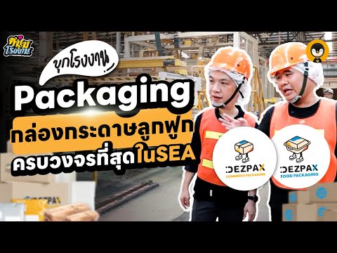 บุกโรงงาน Packaging กระดาษลูกฟูก | หนุ่มโรงงาน EP.8