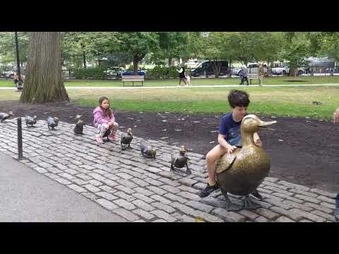 State House-Boston Common-Public Garden麻州议会大厦/波士顿公园/美丽英式公共花园/Freedom Trail Begins自由之路始处 美国历史公园波士顿游-7