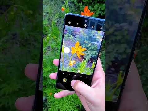 Samsung galaxy A51 Camera test in 2024