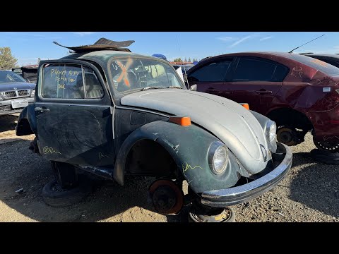 1971 & 1973 Volkswagen VW Bug Beetles at Junkyards in California