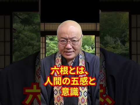 【2025年】煩悩ってなんだ！？【年末】 #shorts  #僧侶 #年末