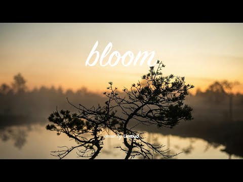 LiQWYD - Bloom [Official]